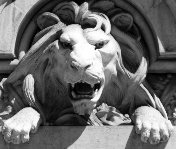 lion-head-1323809857ASm