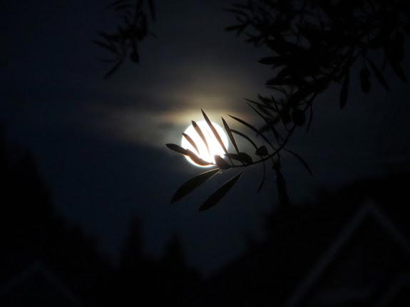moon