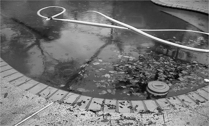 Dirty-Pool-2-from-Paul