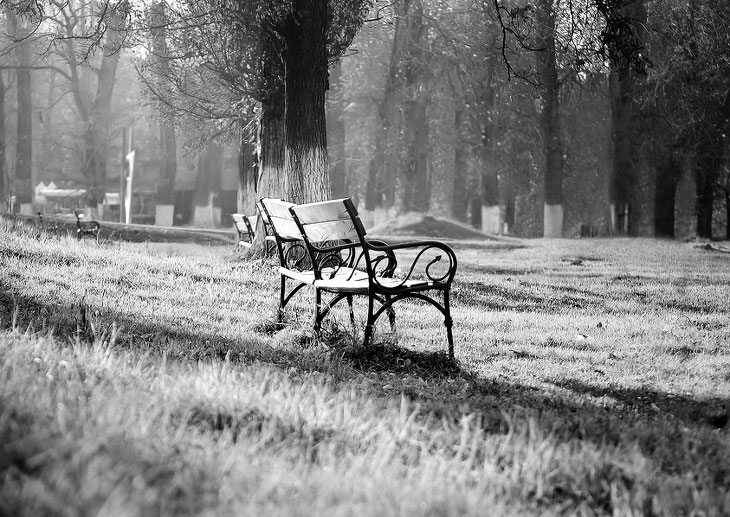 bench