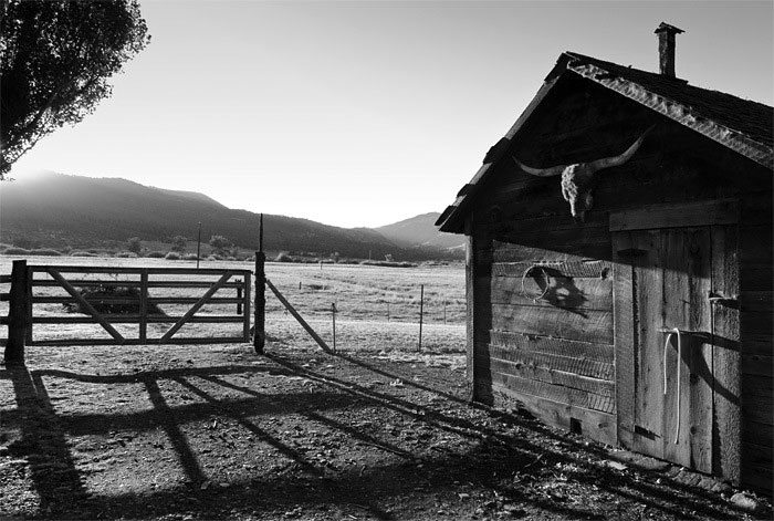 ranchmorning
