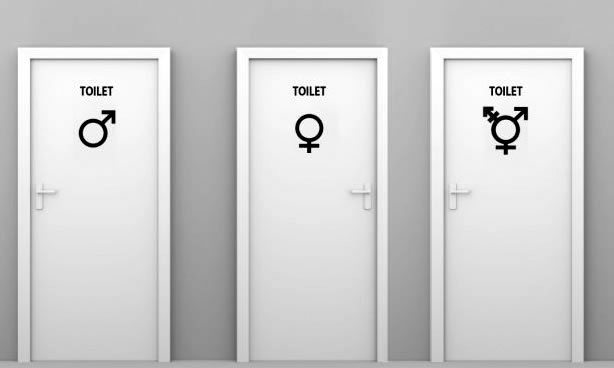 3-toilet-system-university