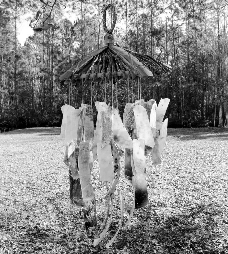 bones