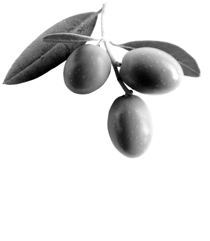 corning-olives-category