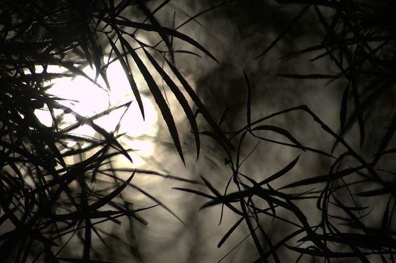 dark-615606_1920
