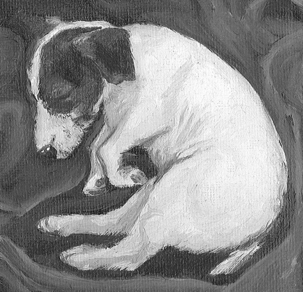 jackrussel