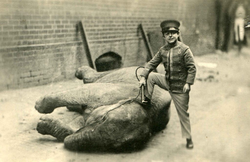 midget elephant trainer 1920's