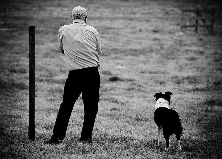 one-man-his-dog