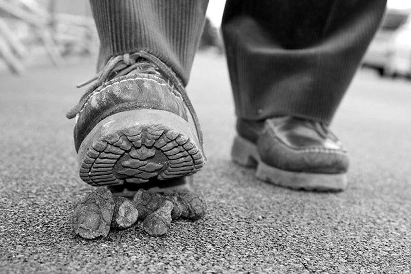 stepping-on-poop