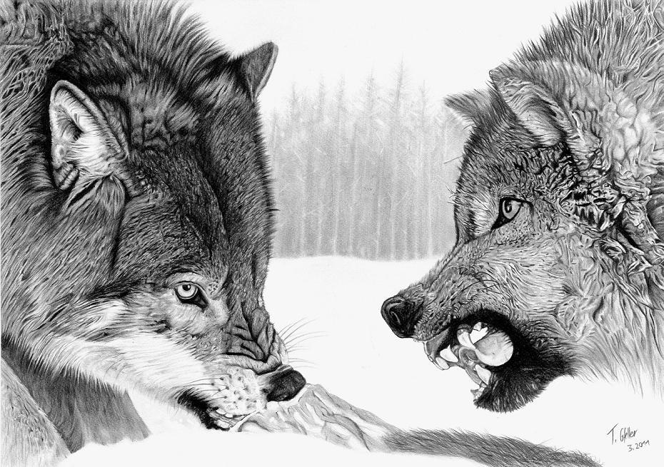 hungry