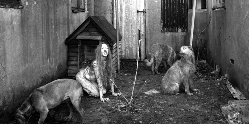 feral