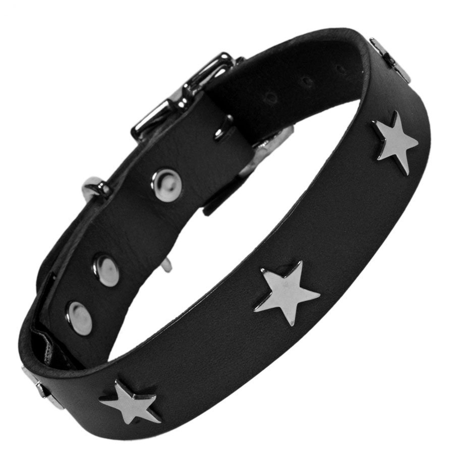 purple-leather-dogcollar-st
